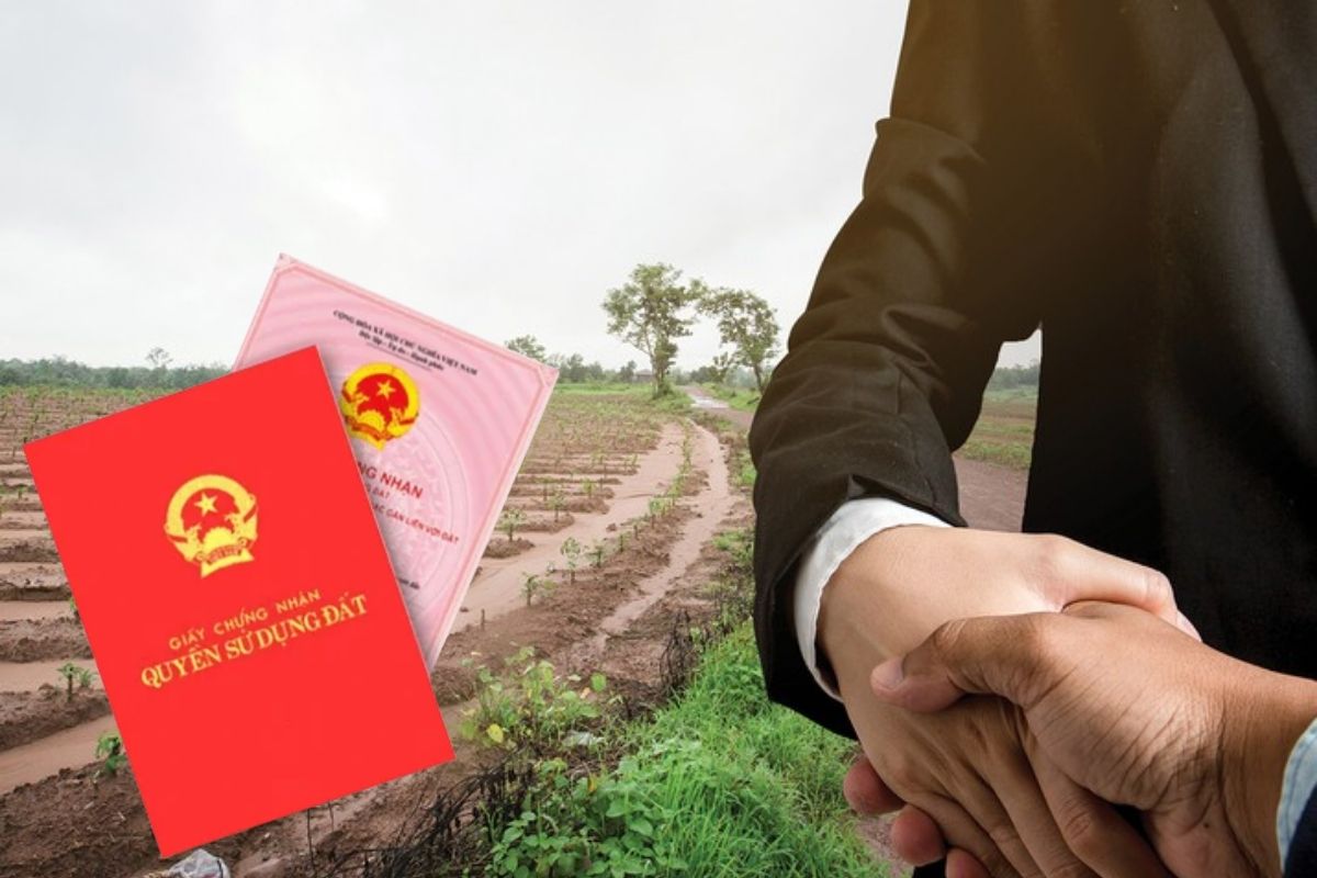 Ý nghĩa và giá trị của các loại giấy chứng nhận quyền sử dụng đất