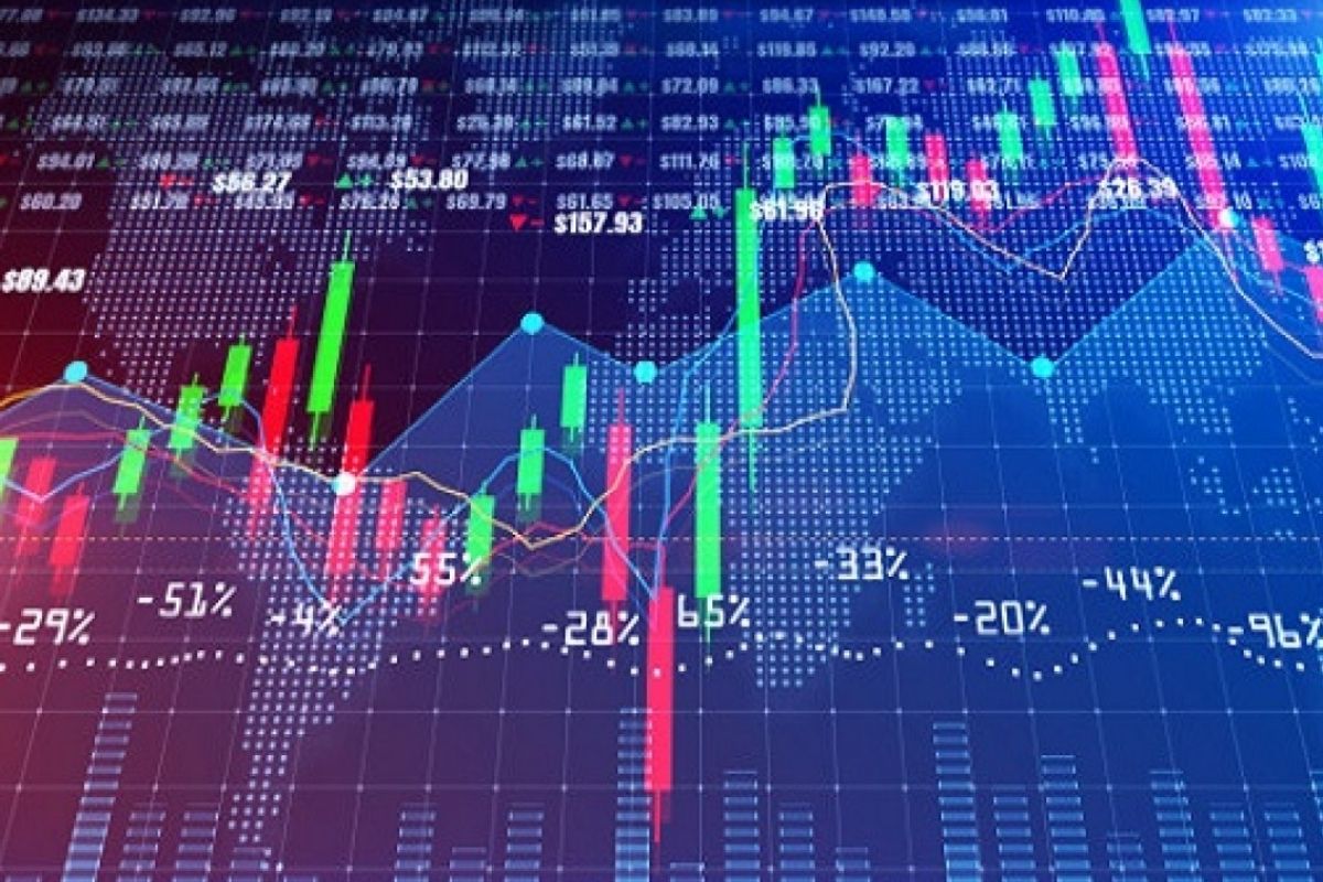 Học về chứng khoán và cách đọc báo cáo