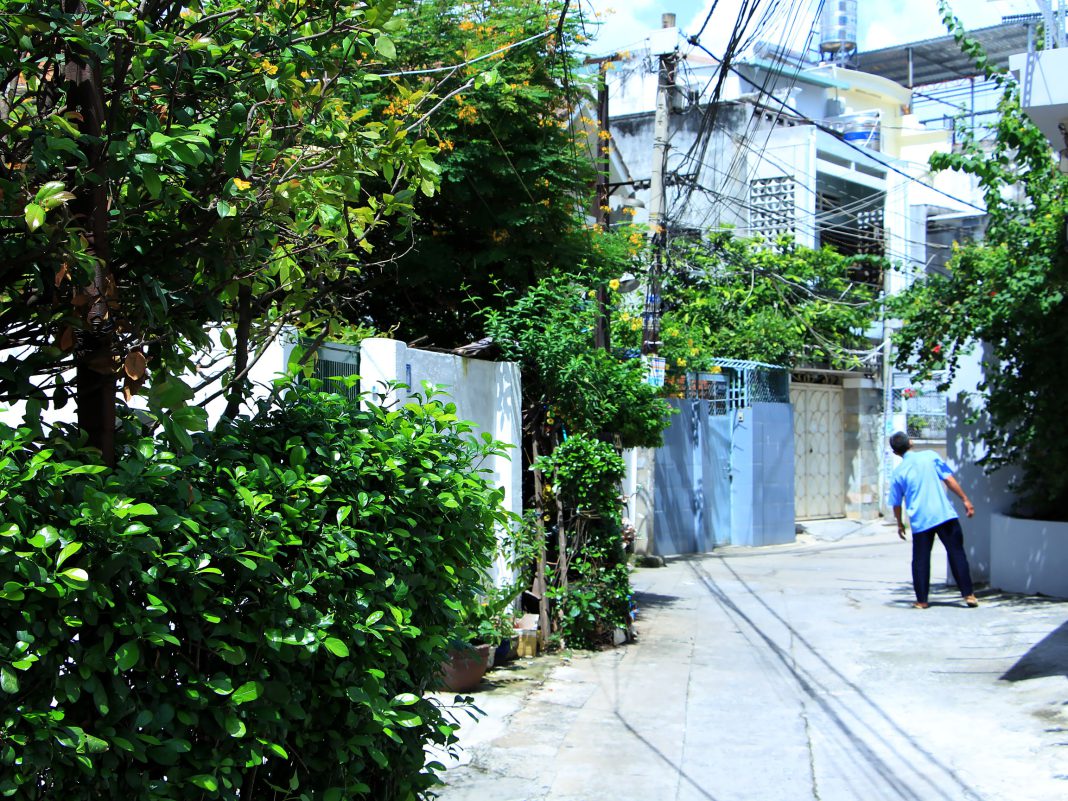 Tán lá lấn ra ngoài đường