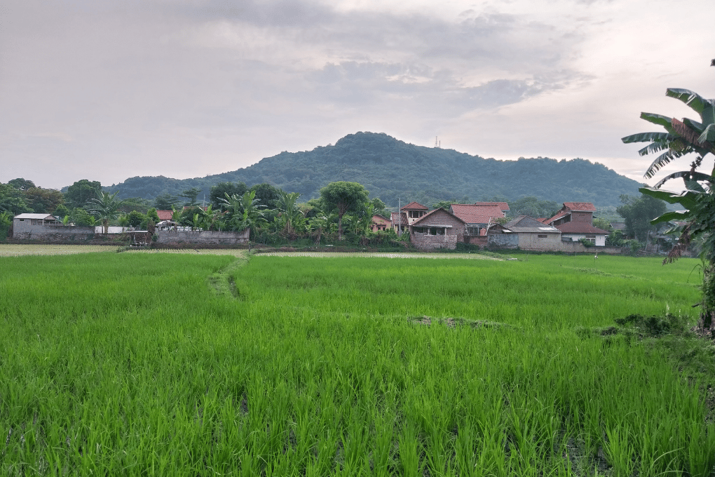 Đất ở tại nông thôn là gì và các quy định sử dụng đất 1 Đất đai ở nông thôn